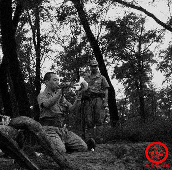 最新武士道电影，高科技视觉盛宴，重塑武士世界的震撼体验