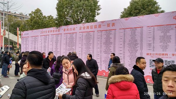 孝昌最新招聘，求职全步骤指南