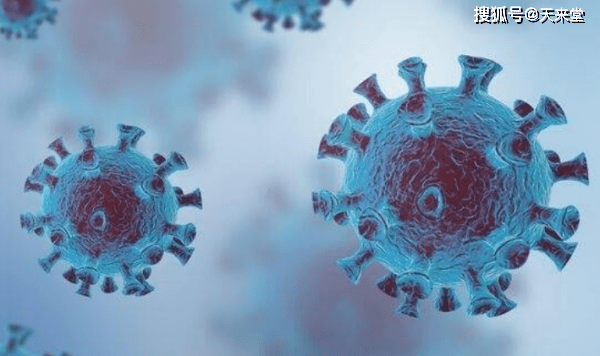 王动最新作品，与自然美景的亲密之旅，探寻内心的宁静与喜悦