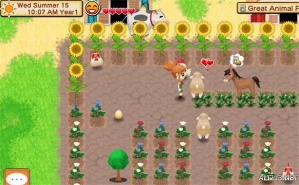 全民农场最新挂机辅助揭秘,巷弄深处的神秘绿洲