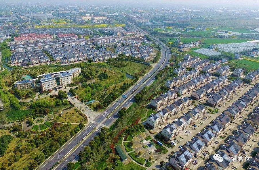 任县最新动态，小城温馨日常与友情力量的展现