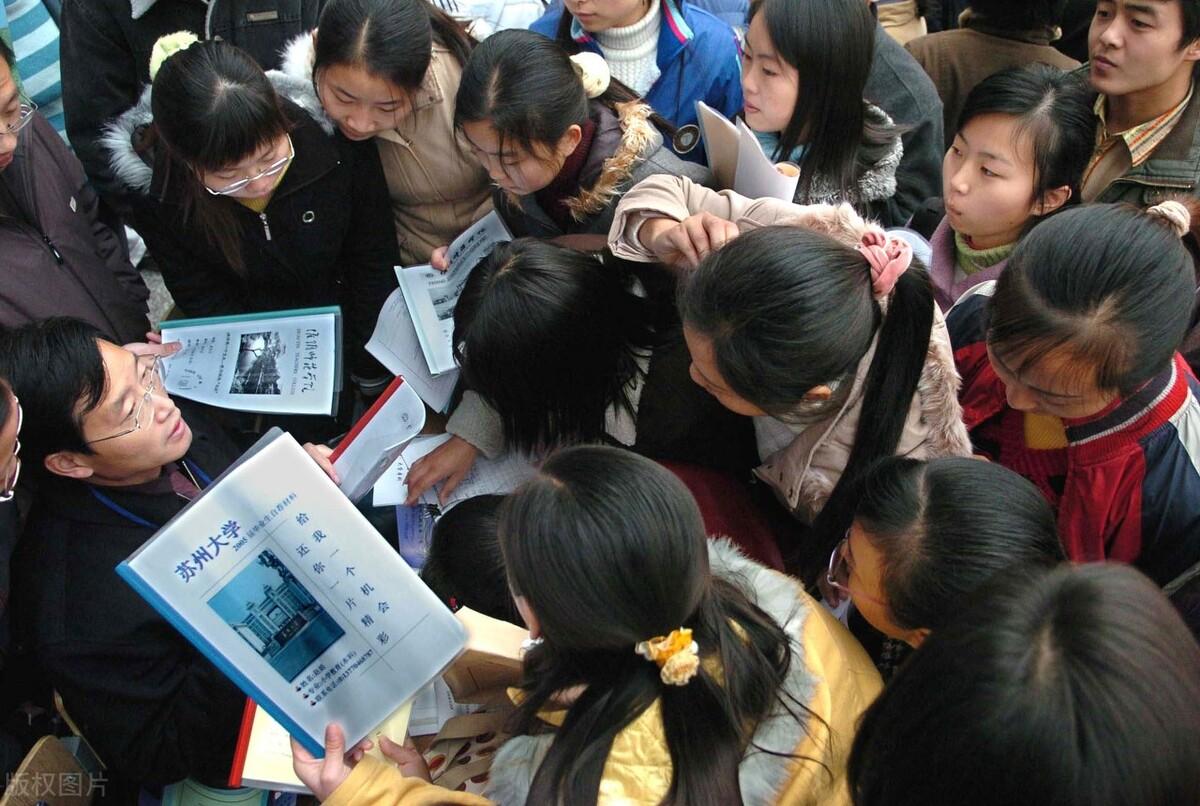 仙葫最新招聘,观点阐述与分析概览