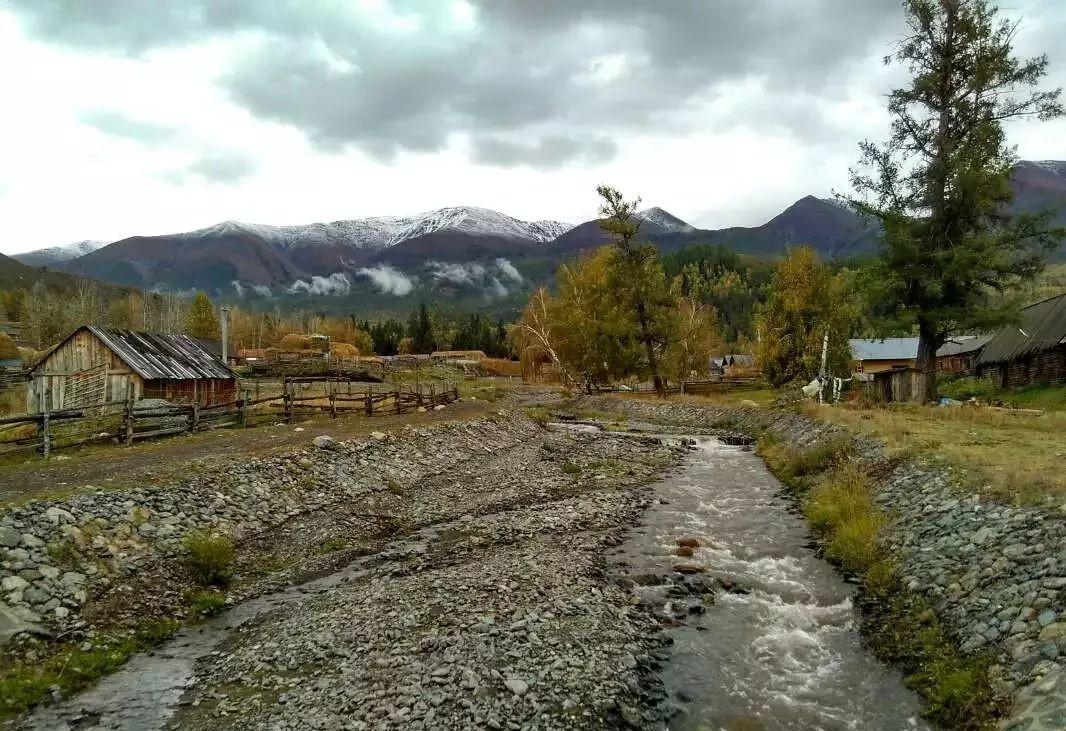 最新电影童话村网,一个值得关注的电影平台深度探讨