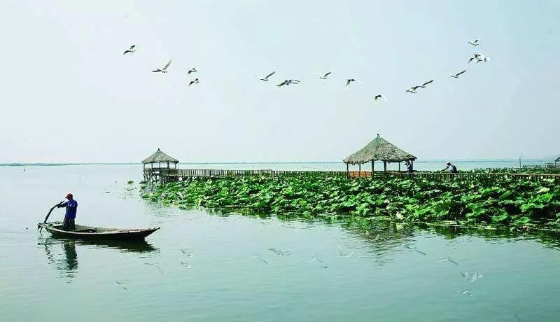 昆山淀山湖镇最新规划揭晓,塑造未来水乡新篇章