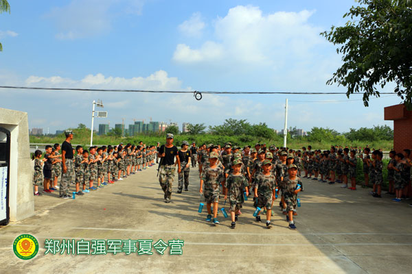 最新军事动态变化，力量与自信的源泉