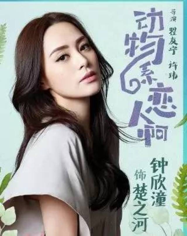 钟欣桐最新电视剧，家的温馨日常