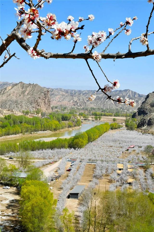 甘肃省委最新公示,科技重塑生活新体验