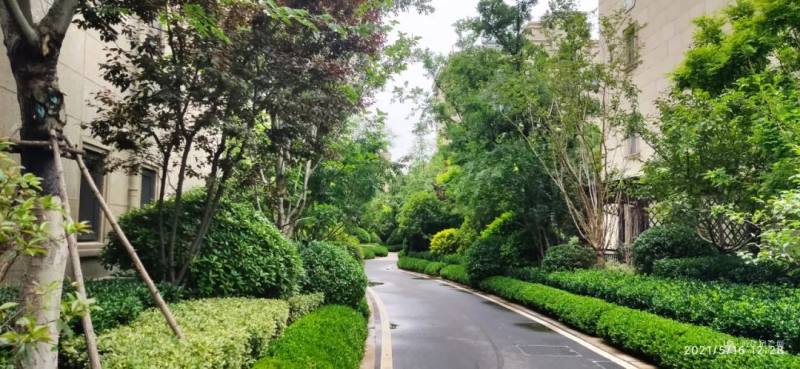 吉列最新剃须刀,时代锋锐的象征