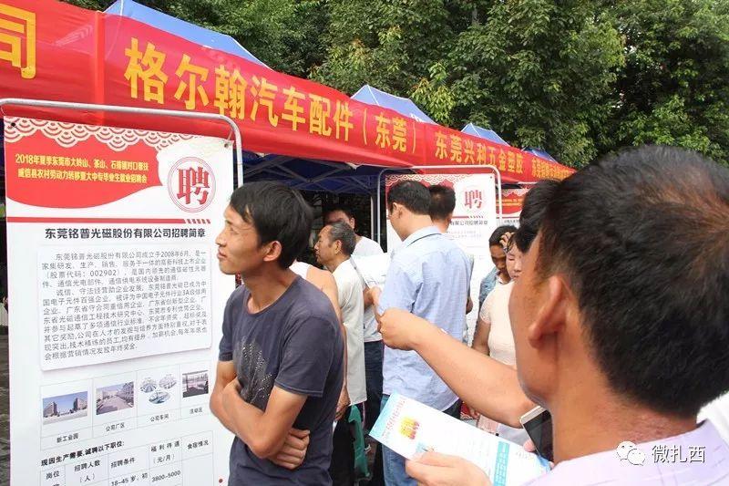 大岭山镇最新招聘信息全面概览