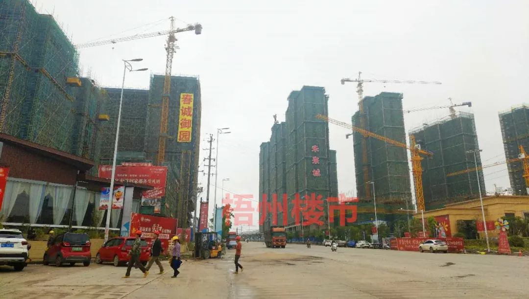 藤县地王国际最新房价的综合分析与观点阐述