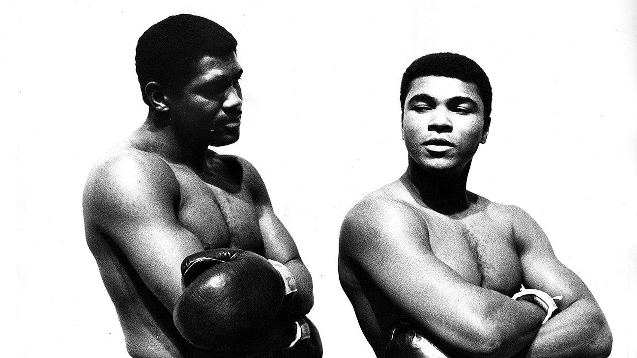 世界职业拳坛最新动态速递