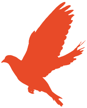 萧县教育局网启航新征程，最新公告与学习自信的辉煌之路