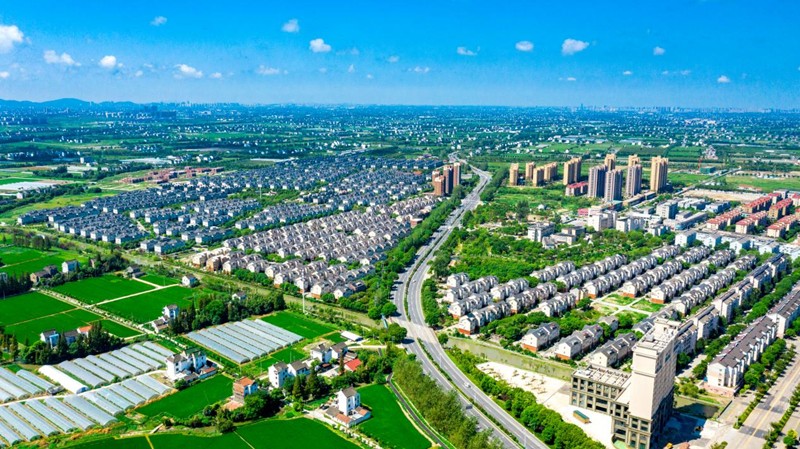 平湖市新仓镇最新动态揭秘✨