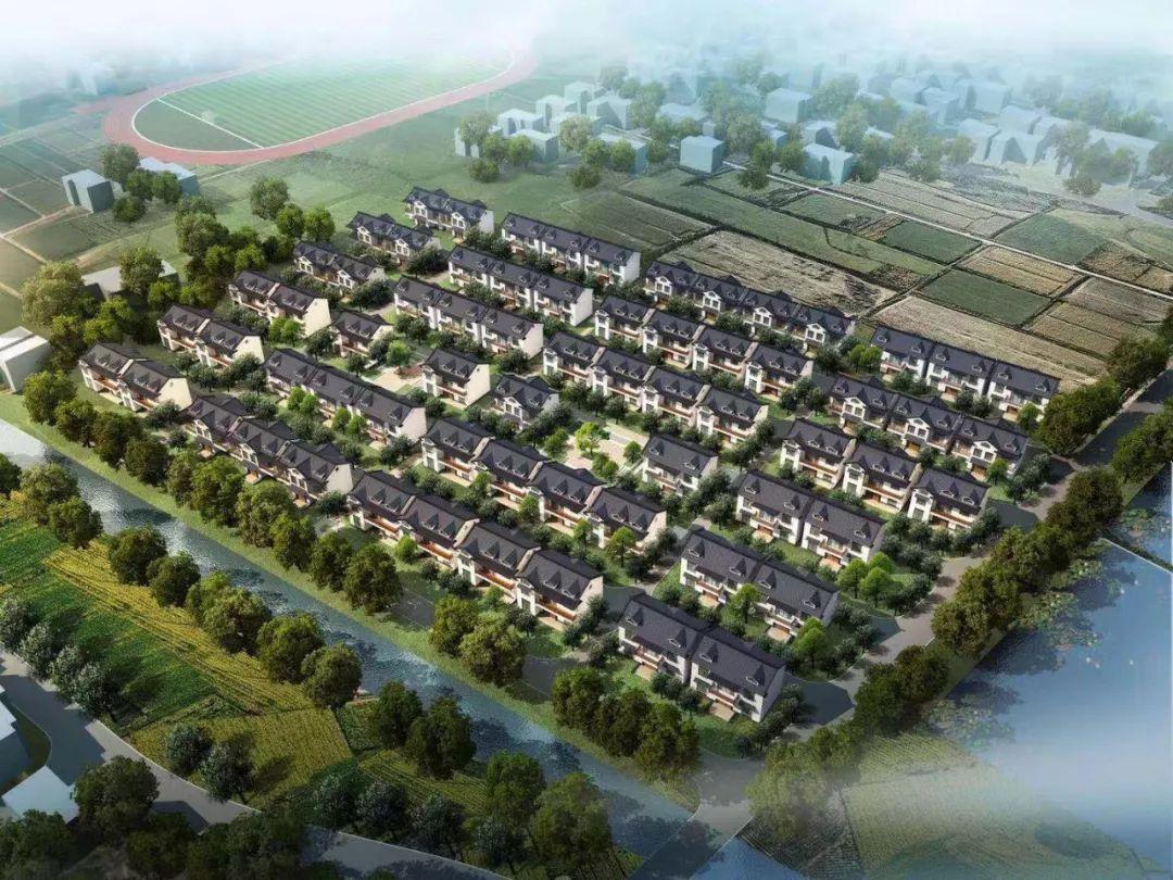 上海崇明规划最新动态揭秘