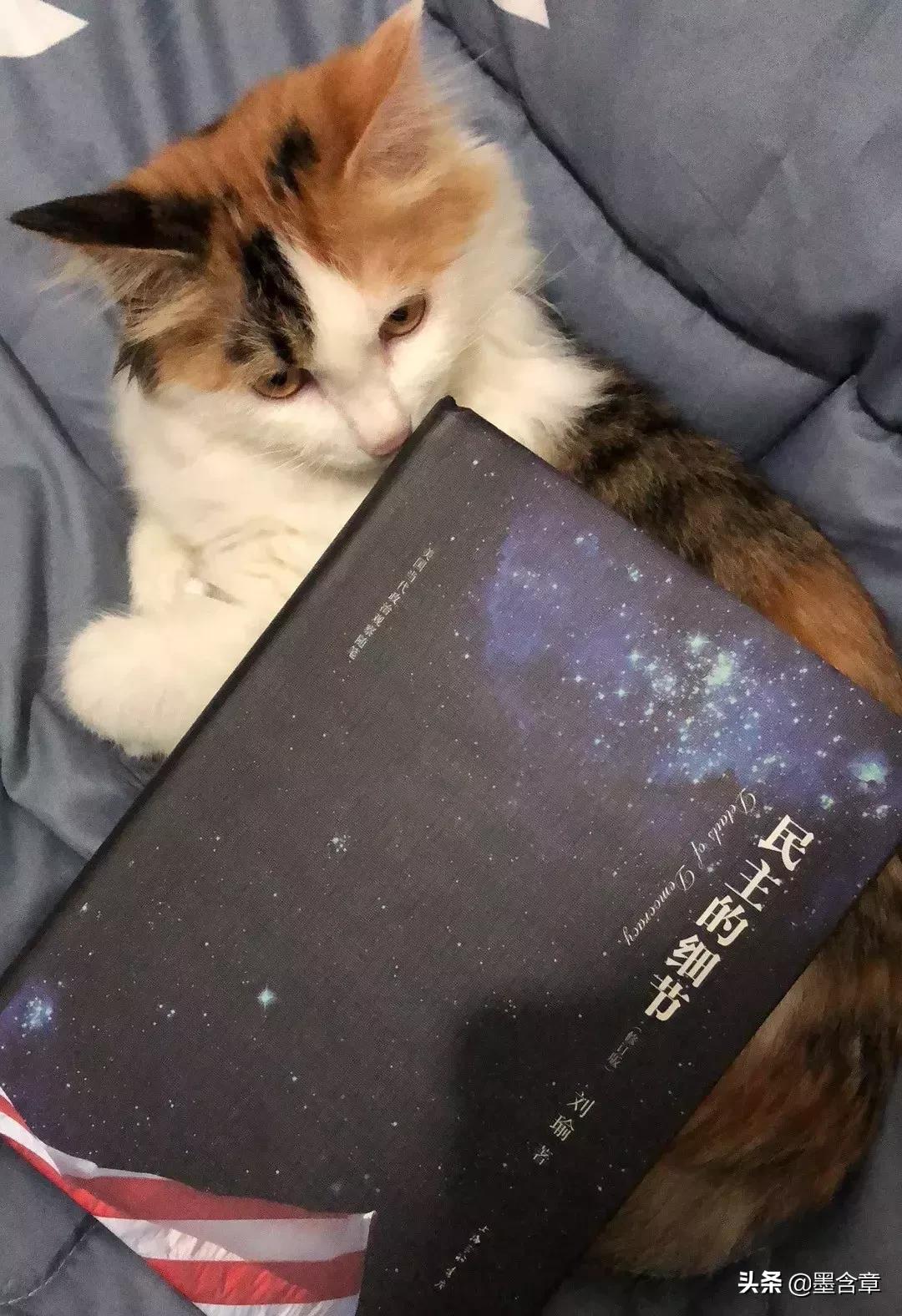 从餐桌小事看变化的力量，小蛮吃饭视频美拍最新报道