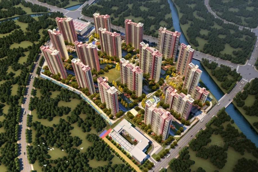 武进定安公园最新动态，温馨日常的持续呈现