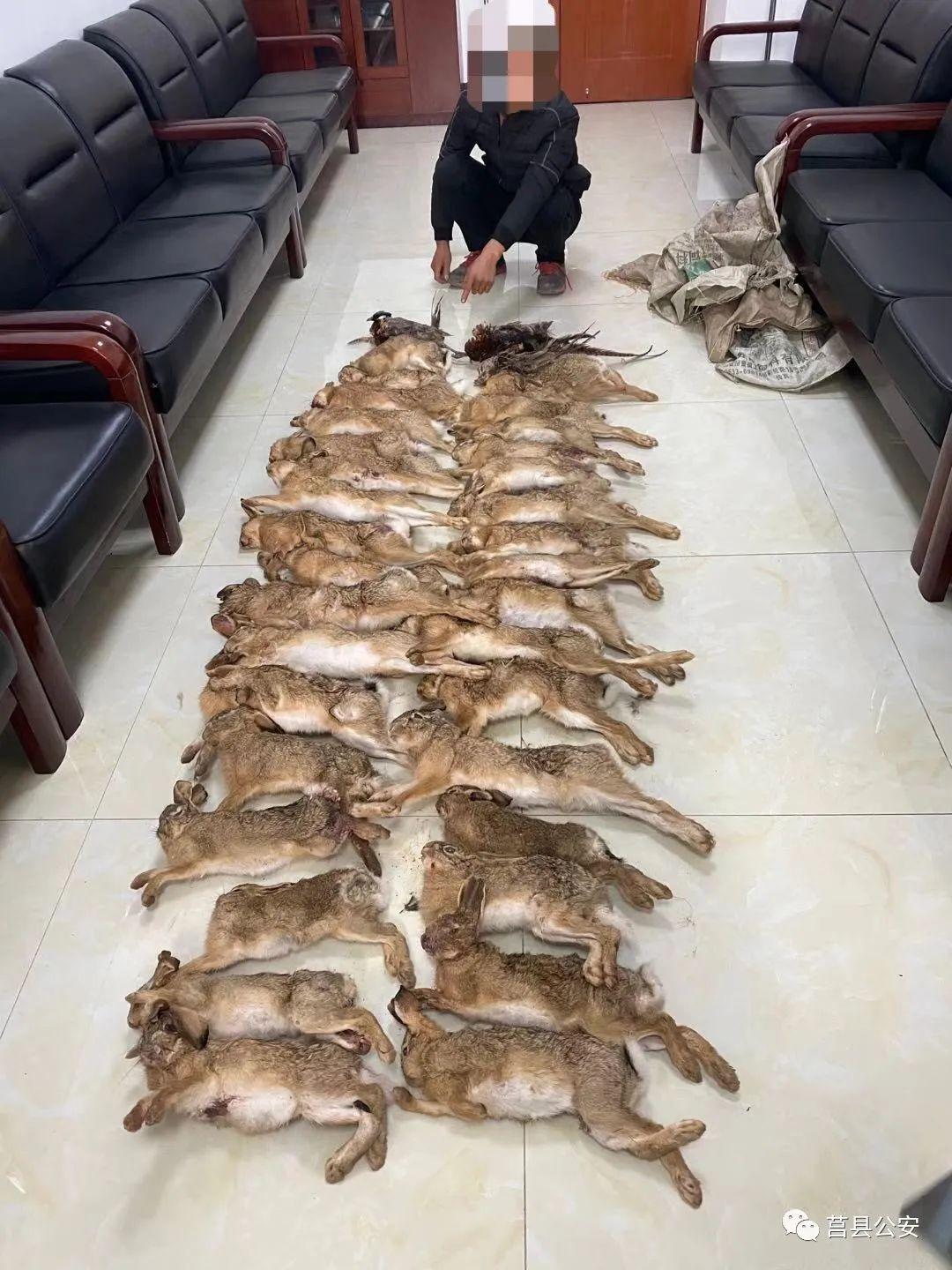 莒县最新楼盘大全价格,科技居住梦想重塑地