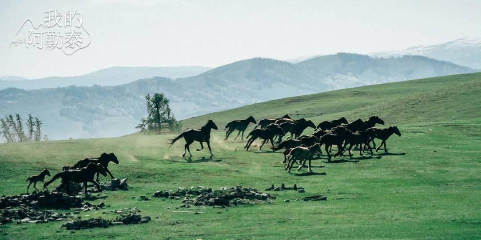 上臧社区最新动态,自然之旅,探寻内心宁静与平和