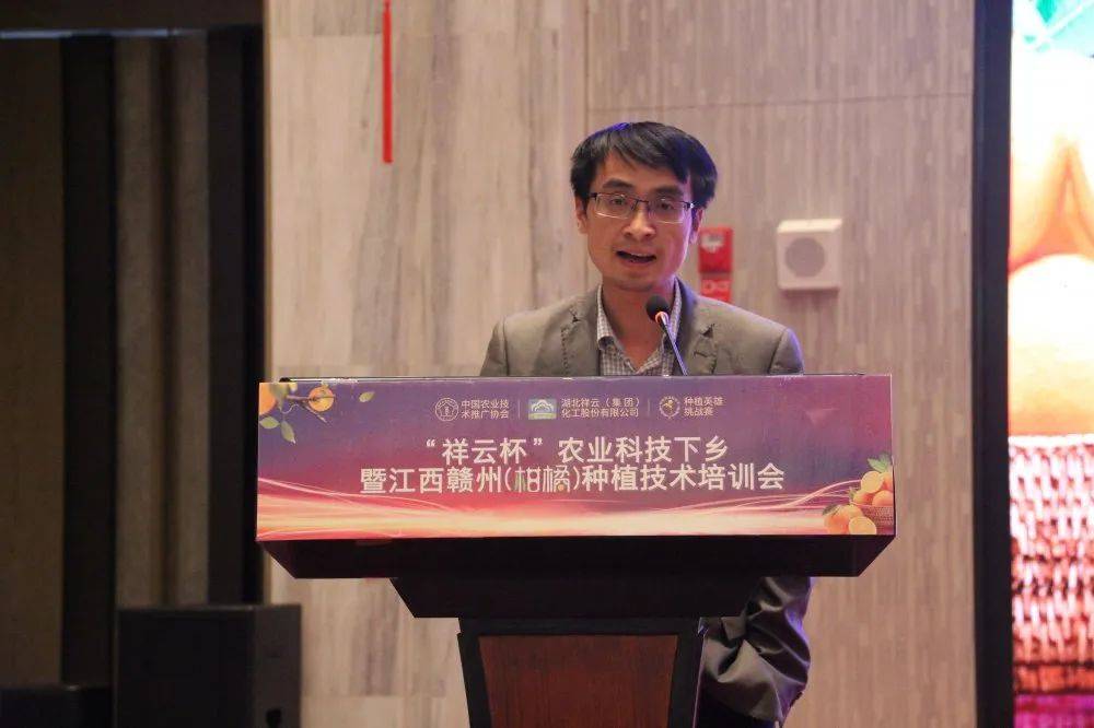 智能科技重塑乡镇治理,体验未来治理新篇章——被架空的镇长最新章节