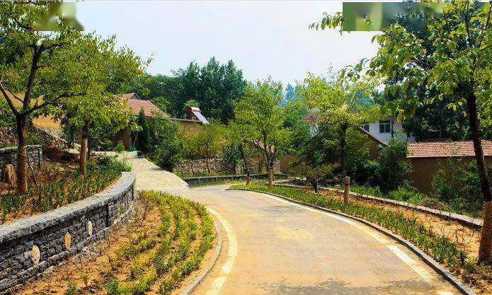 平邑村庄搬迁最新消息,小巷深处的味觉奇遇