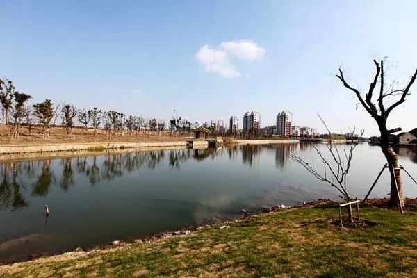 黄埭春申湖最新规划,科技重塑生活,智能生态体验未来打造区