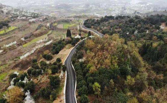 百花湖乡最新规划探索,小巷深处的独特小店风采