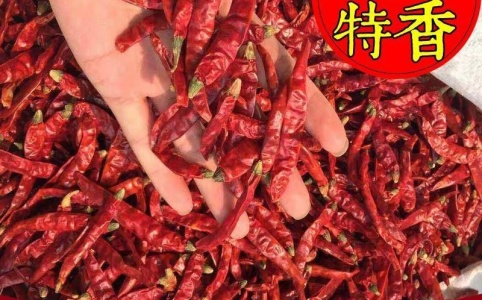 河南干辣椒最新价格行情更新🌶️