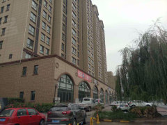 济阳金湖国际最新动态更新,最新消息汇总