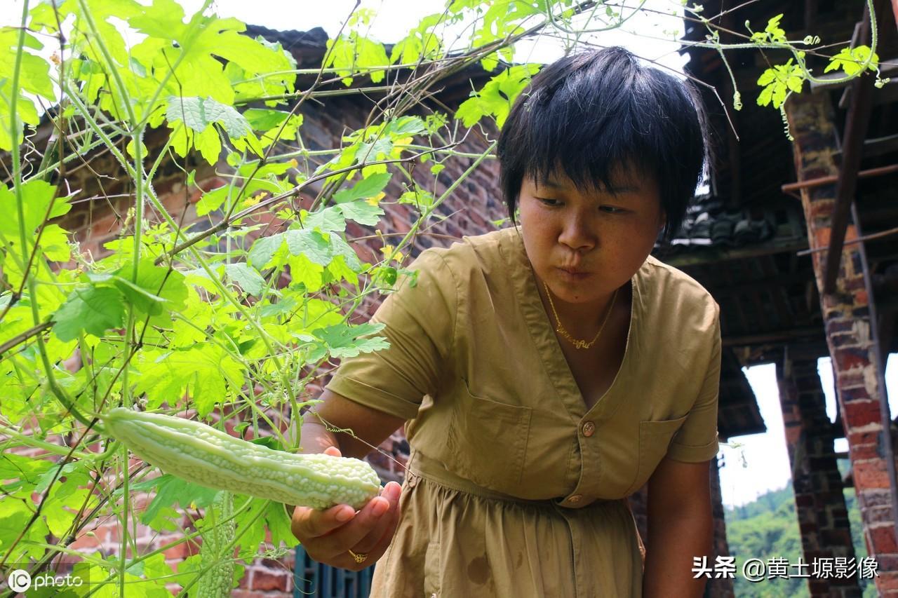 深圳弃婴岛最新动态，与自然美景的邂逅，心灵平静之旅