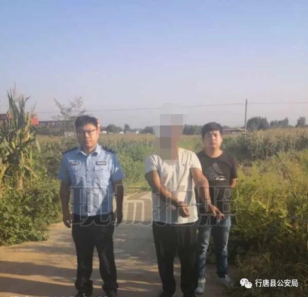 行唐公安局最新新闻及观点论述揭秘