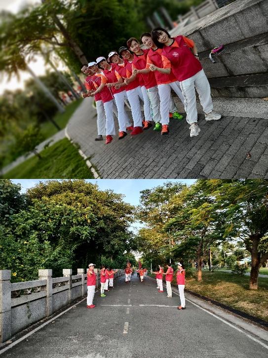 龙岗坪地最新动态，城市发展的蓬勃活力及未来展望