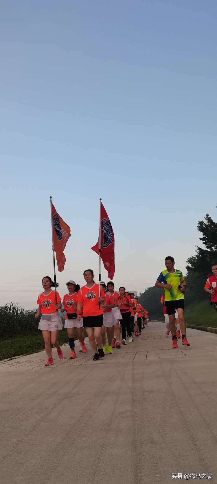 龙岗坪地最新动态,城市发展的蓬勃活力及未来展望