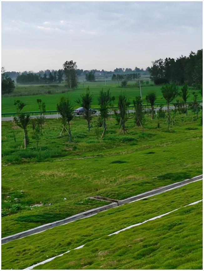 🌟江巷水库工程最新进展报告🌟