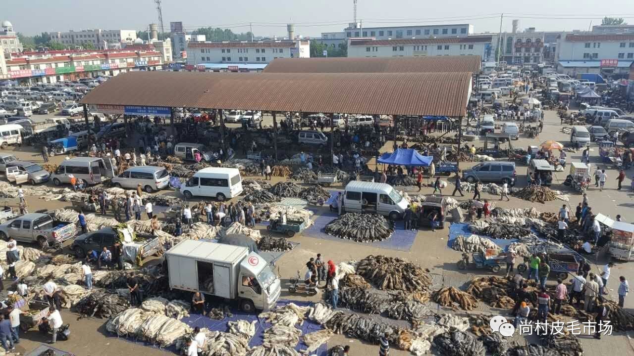 尚村皮毛市场最新行情，价格动态与变化中的市场影响