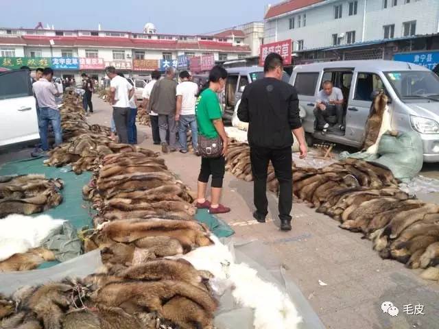 尚村皮毛市场最新行情,价格动态与变化中的市场影响