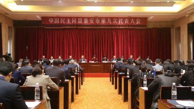 泰安市委领导新阵容亮相,领导力新面貌与小巷独特风情并存的变革