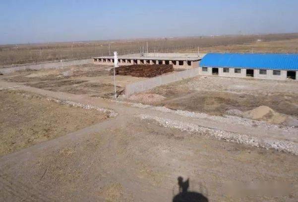 最新农村养殖用地政策下的田园生活与趣事