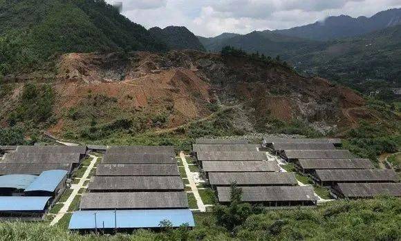 最新农村养殖用地政策下的田园生活与趣事