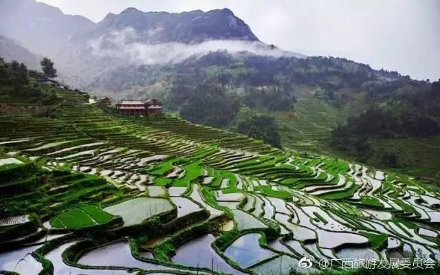 雷高飞调查最新进展，自然美景探险之旅，心灵远离尘嚣的启程