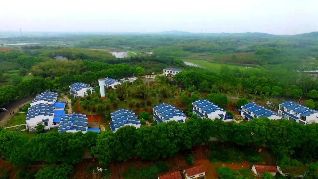 赤壁长江公路大桥最新动态更新,最新消息汇总