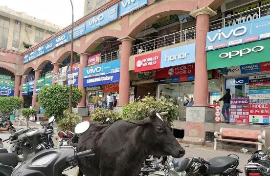 中石化买断职工最新消息与独特小巷小店的故事