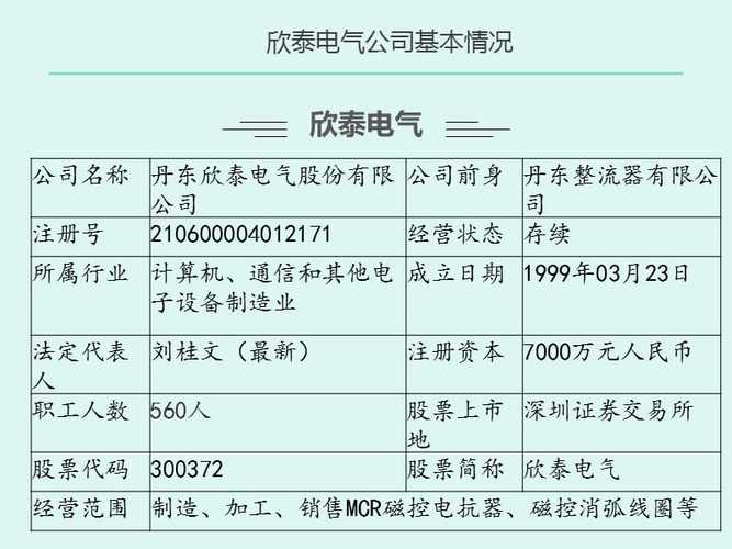 欣泰电气公安最新消息更新