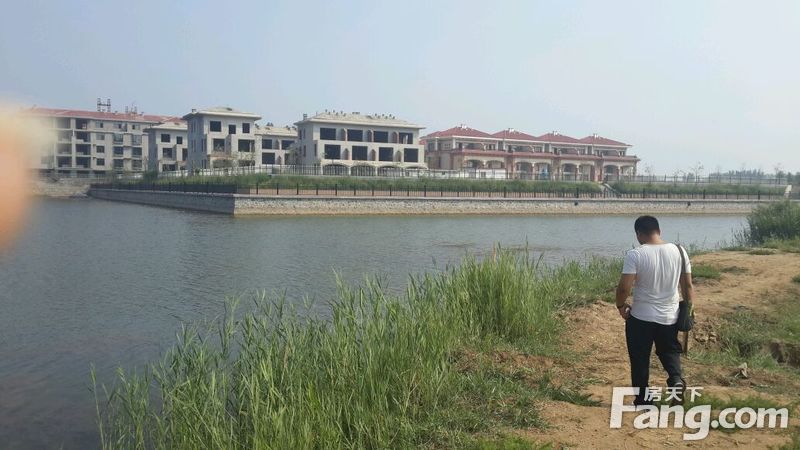 滦南泽平庄园最新动态更新