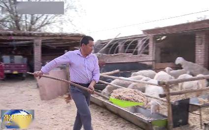 羊元村搬迁揭秘,最新动态与背后故事曝光