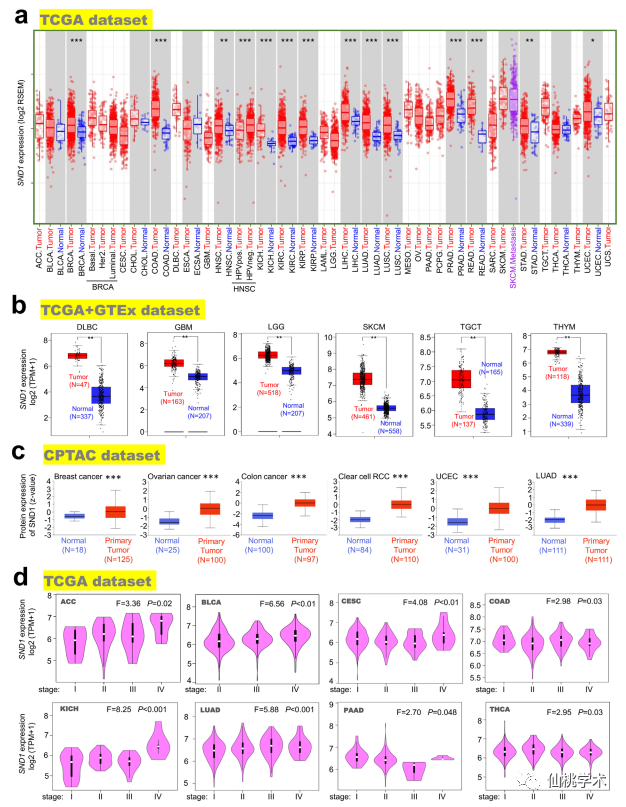 7777788888精准跑狗图特色,全方位展开数据规划_MOM79.164潮流版