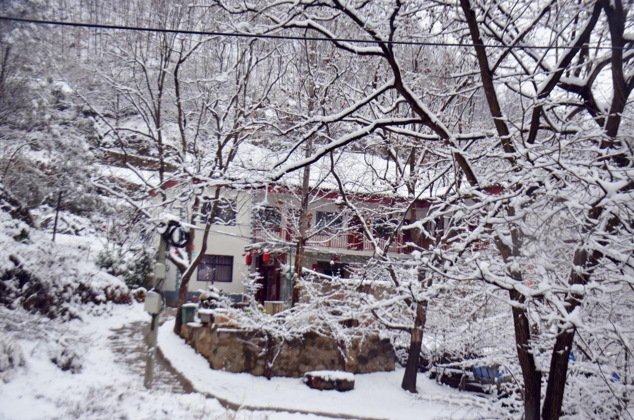 洛阳市地铁最新动态，探秘自然美景，寻觅宁静乐园之旅