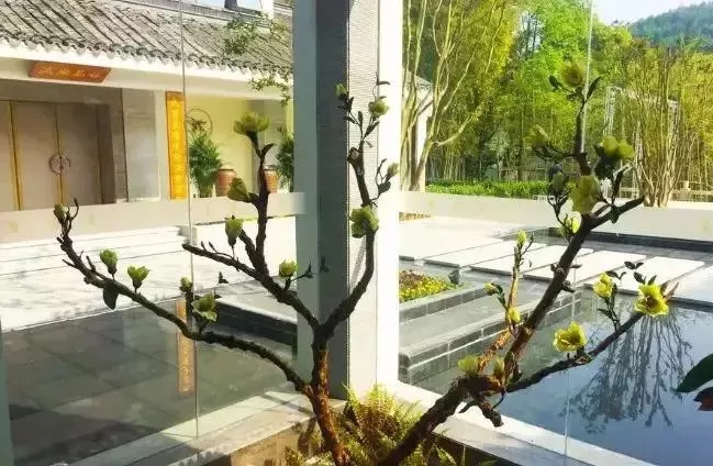 即墨最新个人二手房,自然美景探索之旅启程