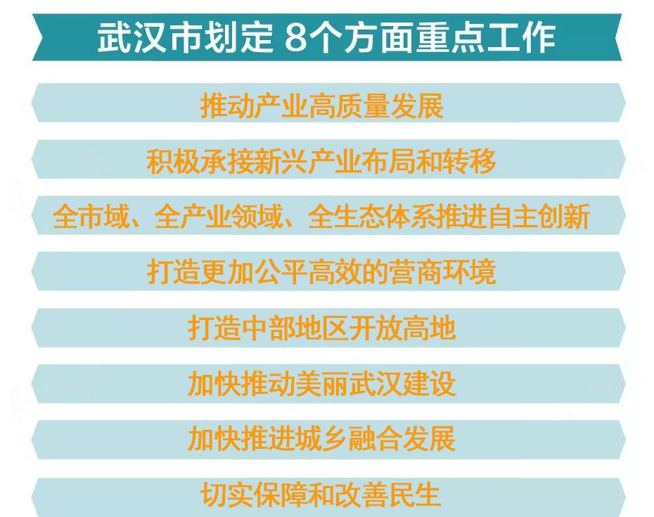 2024年正版资料免费大全亮点,担保计划执行法策略_LQD79.709炼皮境