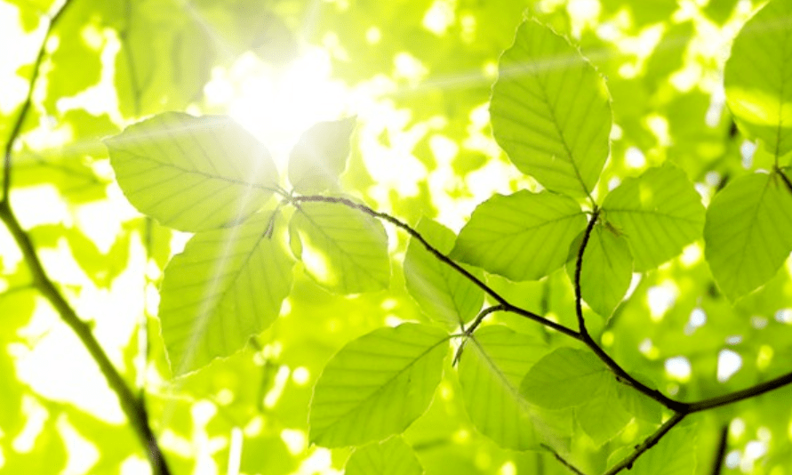 安阳香山甲第最新动态,学习之光照亮未来之路