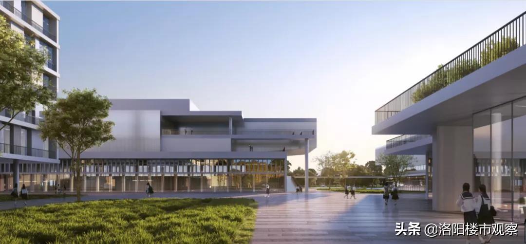洛阳市丰李镇最新规划详解,步骤指南与初学者进阶指南